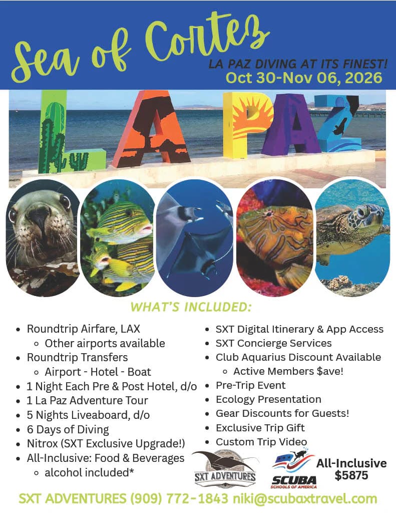 Sea of Cortez — La Paz Diving at Its Finest 2026